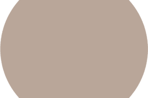 CC 019
