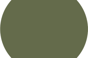 CC 1002